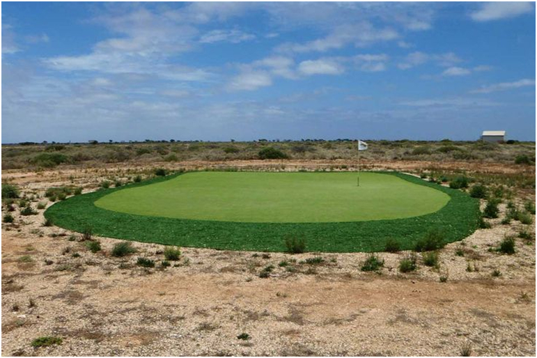 Nullarbor Links: The World’s Longest Course